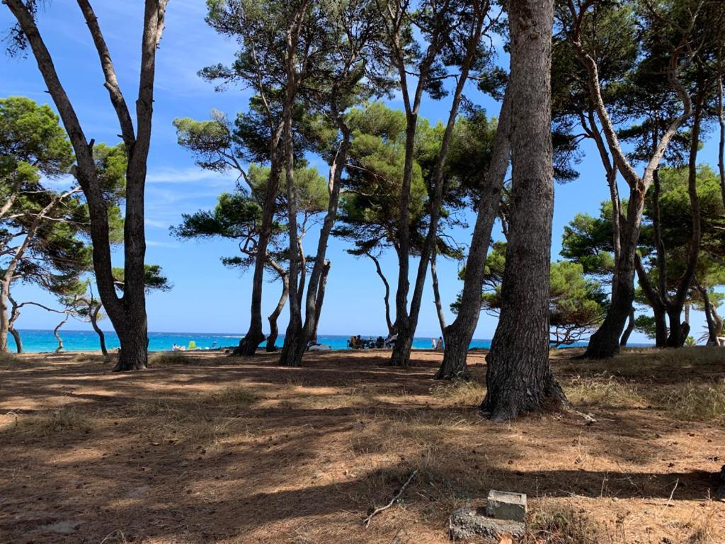 Canyamel Apt 3A Cala Varques 100 Mts From Canyamel Beach Pool Chill-Out Terrace With Awesome Views Eksteriør bilde